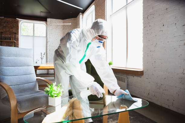 Why You Should Choose Our Mold Remediation Services in Remington, IN